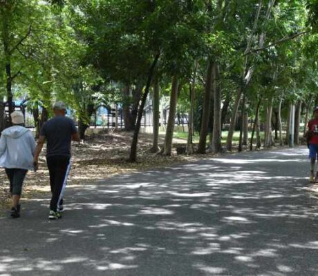 parque del este